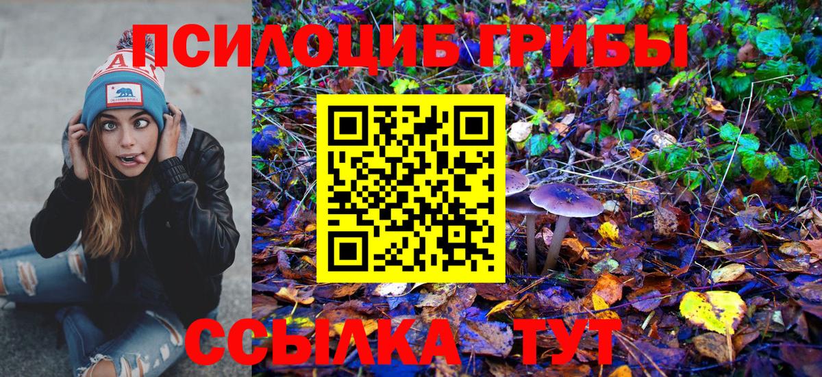 наркотики  Псилоцибиновые грибы Psilocybe  Орёл  Вход с VPN  Галлюциногенные грибы Cubensis 
