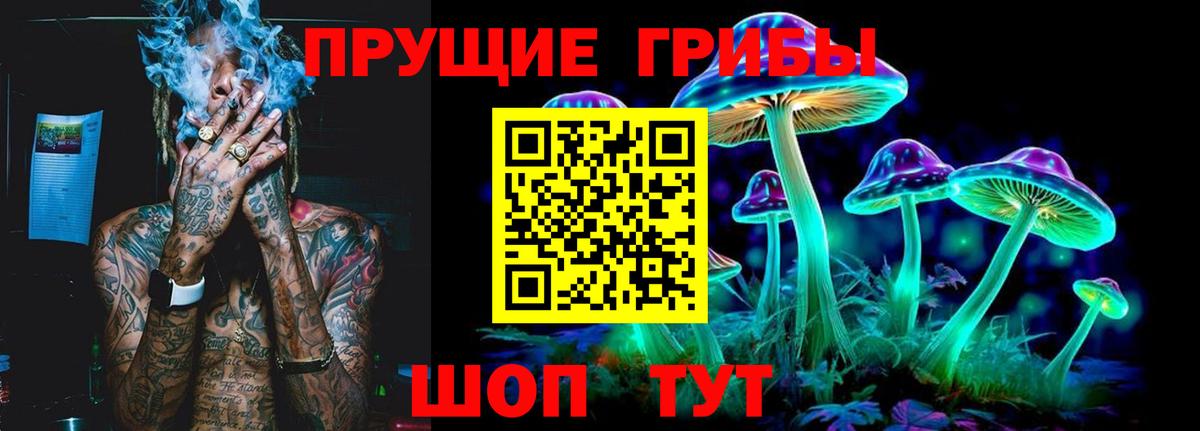 Галлюциногенные грибы Psilocybine cubensis Орёл